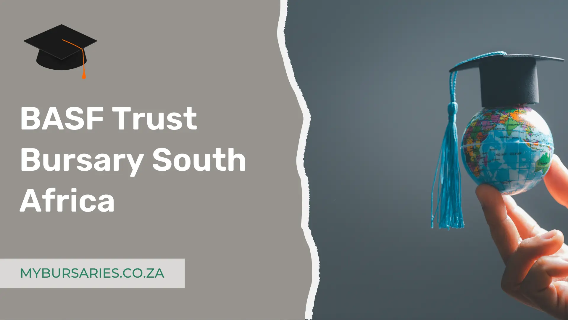 BASF Trust Bursary South Africa