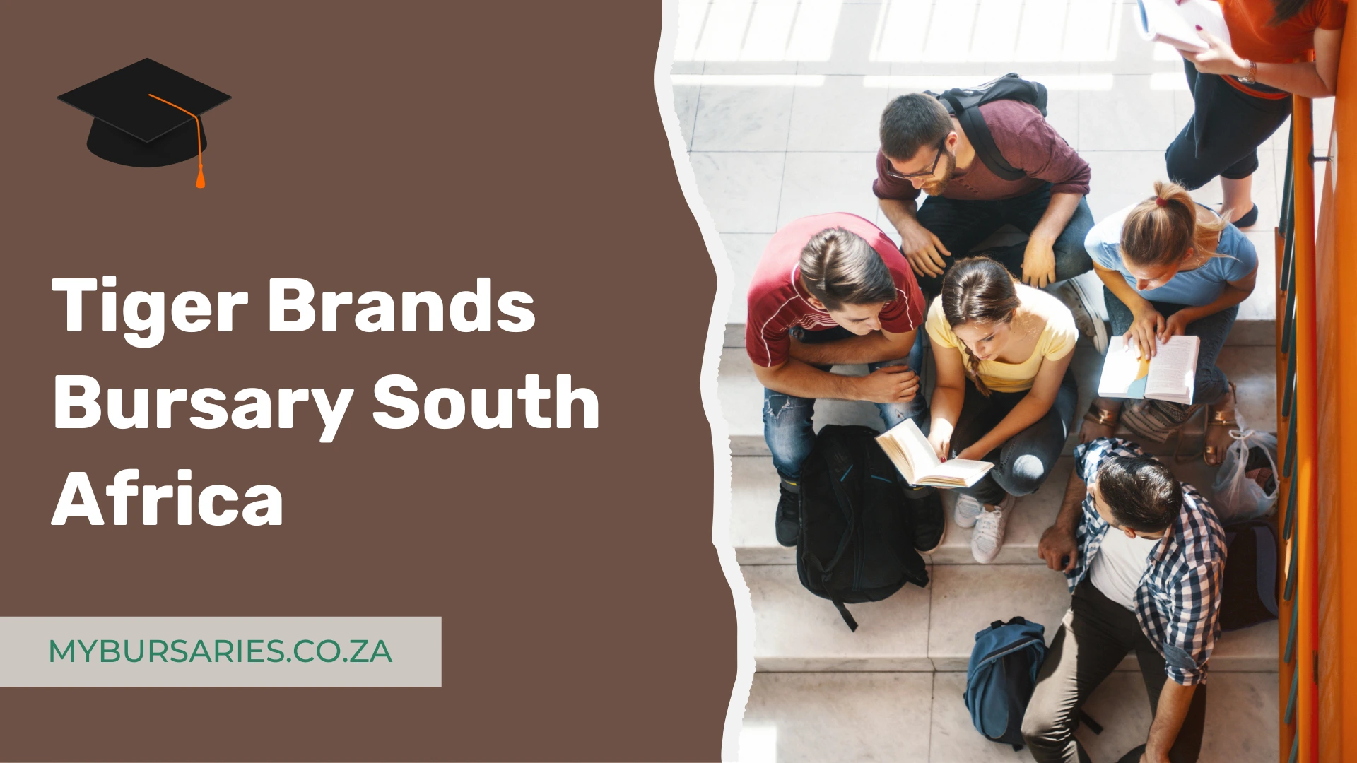 Tiger Brands Bursary South Africa